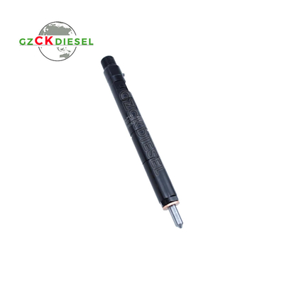 Inyector de combustible diesel EJBR04001D 166009384R para el motor Delphi
